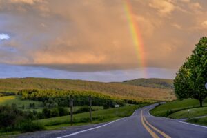 How color vision works